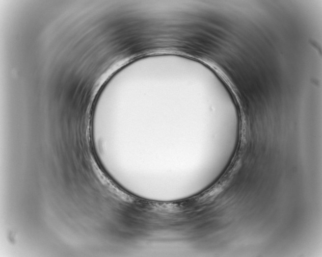 X0000100190957200806271615