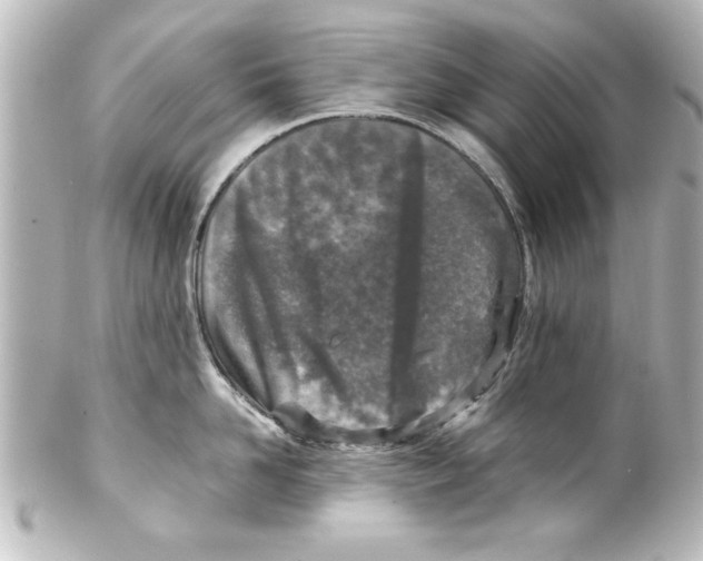 X0000100190958200806271615