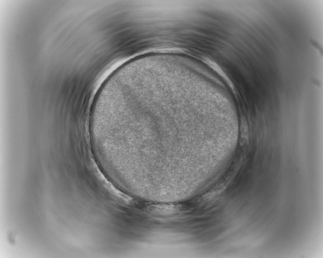 X0000100190959200806271615
