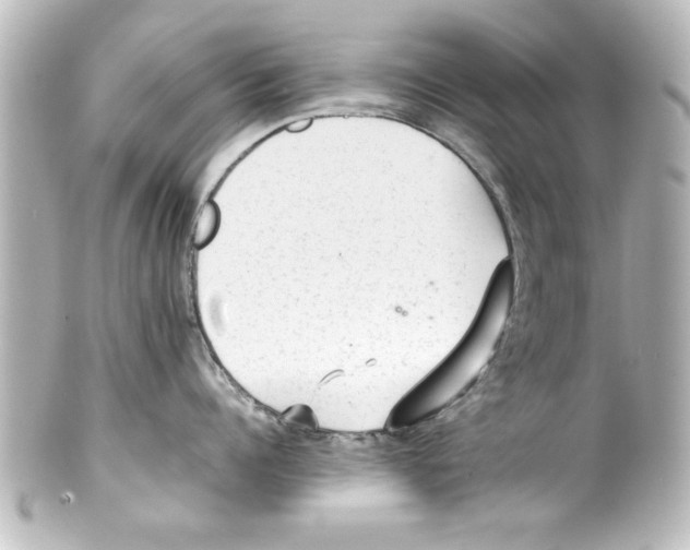 X0000100190960200806271615