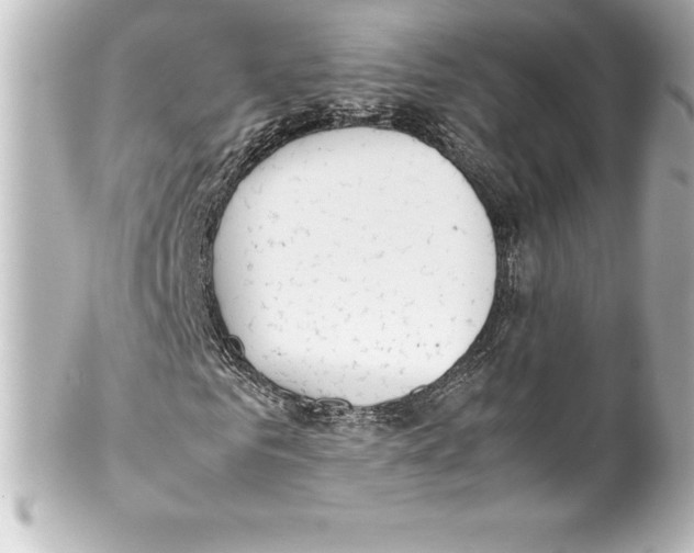 X0000100190961200806271615