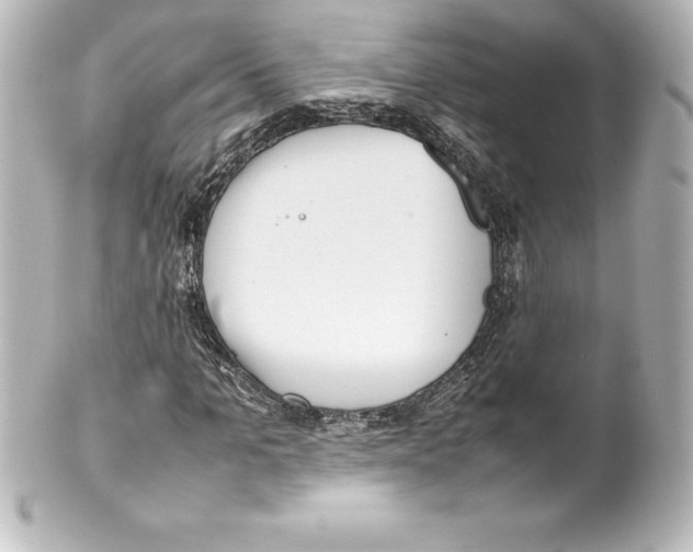 X0000100190965200806271615