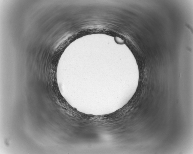 X0000100190967200806271615