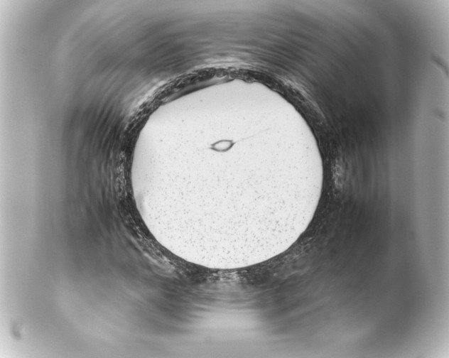 X0000100190968200806271615