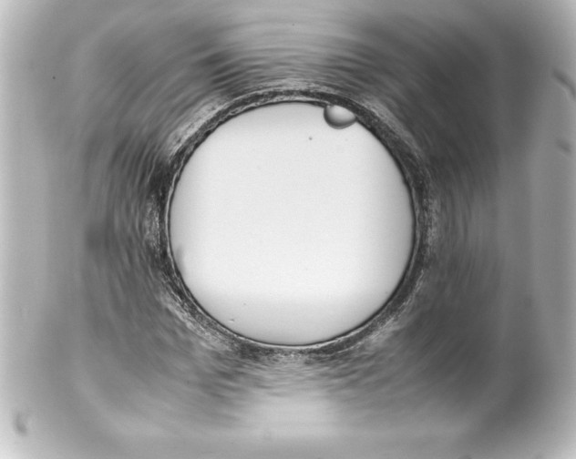 X0000100190969200806271615