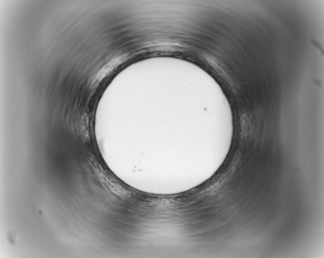 X0000100190970200806271615