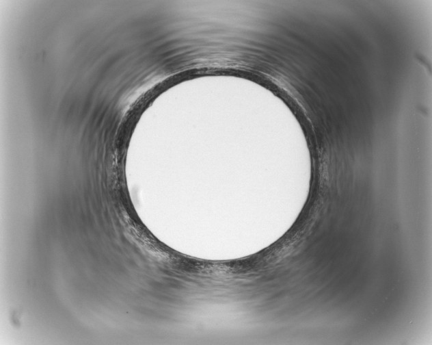 X0000100190971200806271615