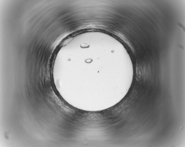 X0000100190972200806271615