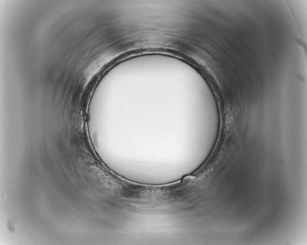X0000100190973200806271615