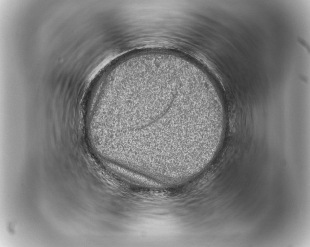X0000100190975200806271615