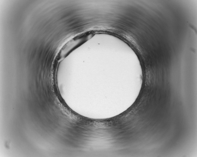 X0000100190976200806271615