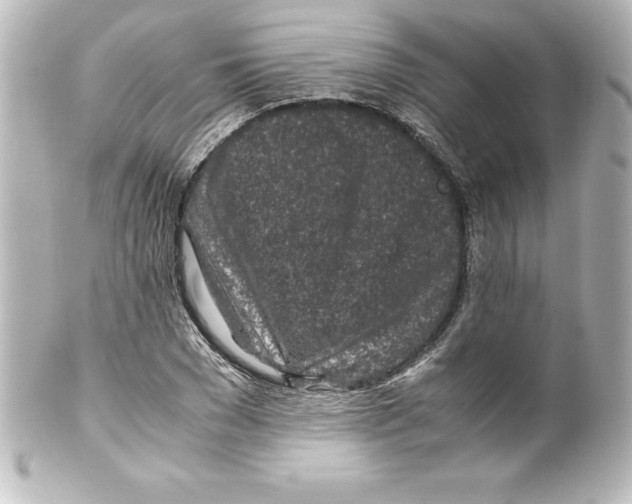 X0000100190977200806271614