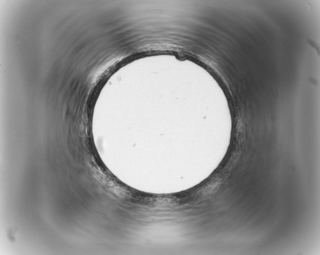 X0000100190979200806271614