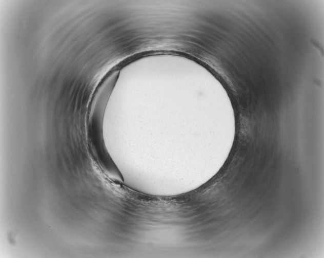 X0000100190980200806271614