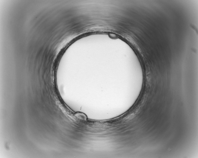 X0000100190981200806271614