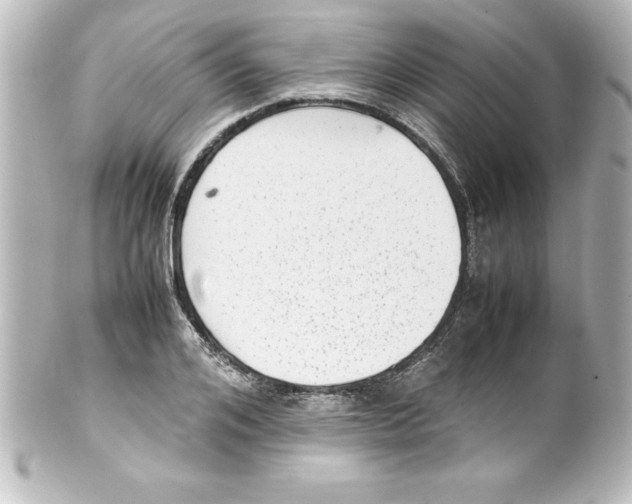 X0000100190984200806271614