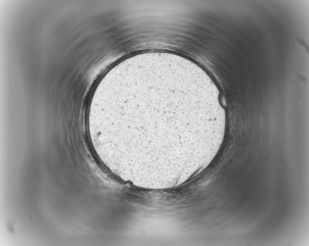 X0000100190987200806271614