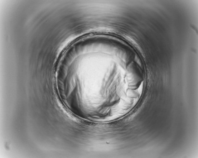 X0000100190989200806271614