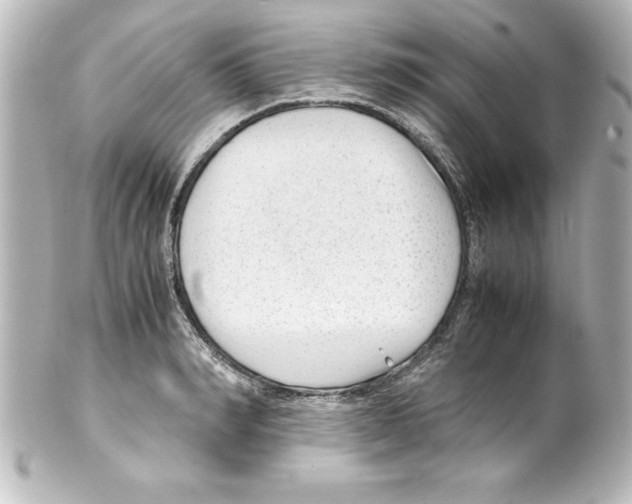 X0000100190990200806271614