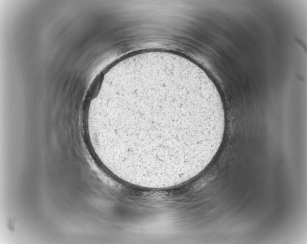 X0000100190991200806271614