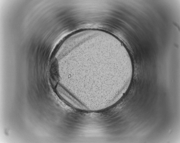 X0000100190992200806271614