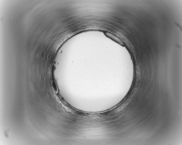 X0000100190993200806271614