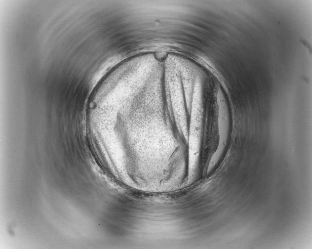 X0000100190994200806271614