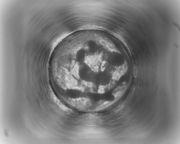 X0000100190995200806271614