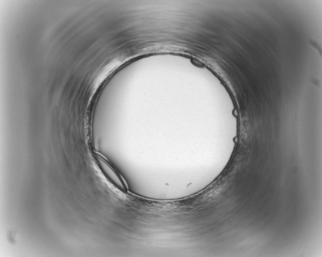 X0000100190997200806271614