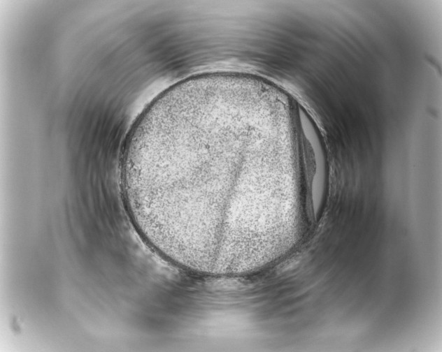 X0000100190998200806271614