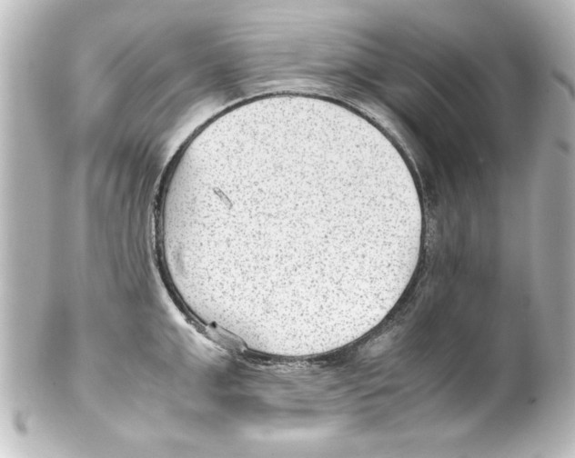 X0000100190999200806271614