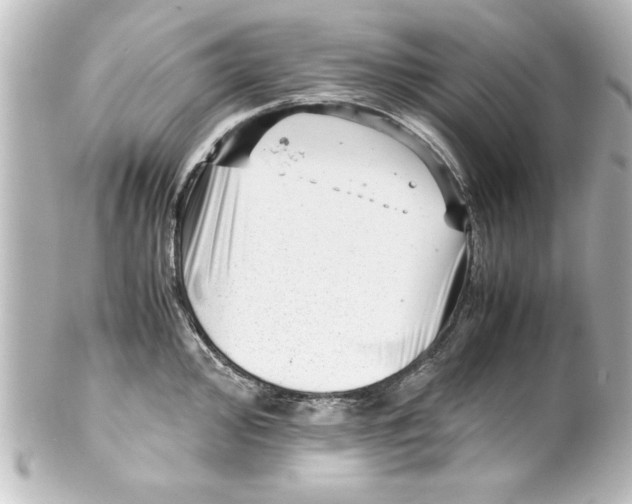 X0000100191000200806271614