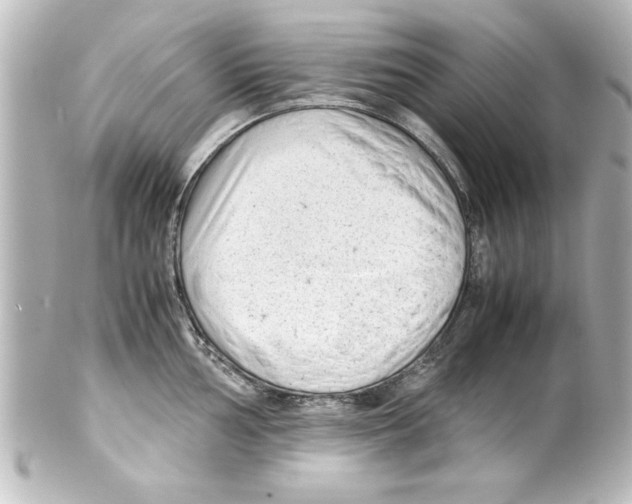 X0000100191002200806271614