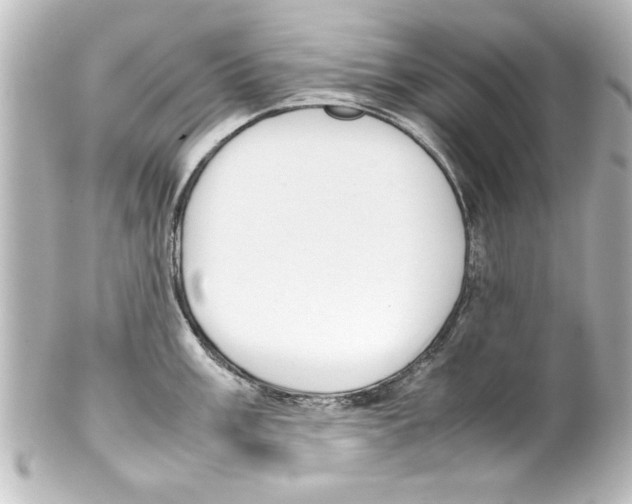 X0000100191003200806271614