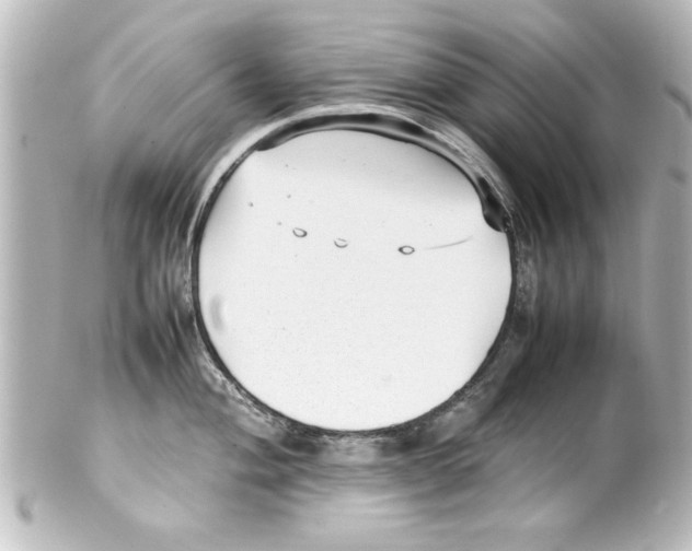 X0000100191004200806271614