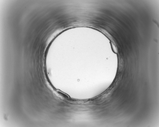 X0000100191005200806271614