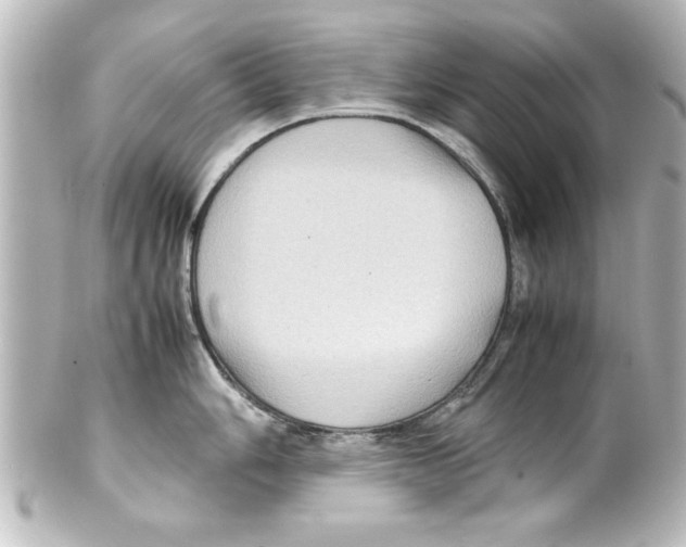 X0000100191006200806271614