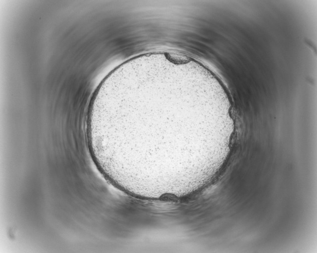 X0000100191007200806271614