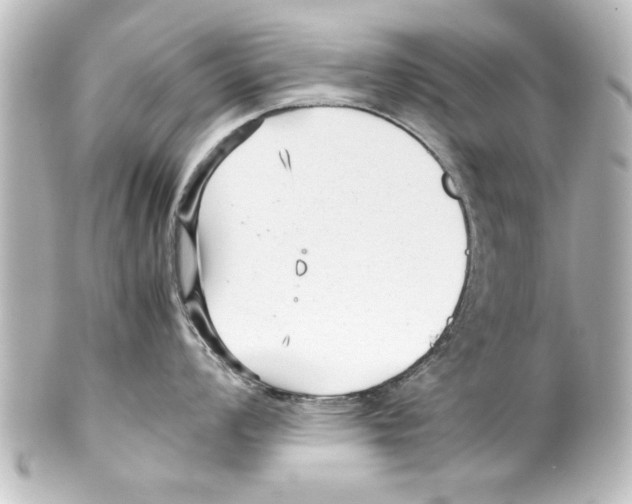 X0000100191008200806271614