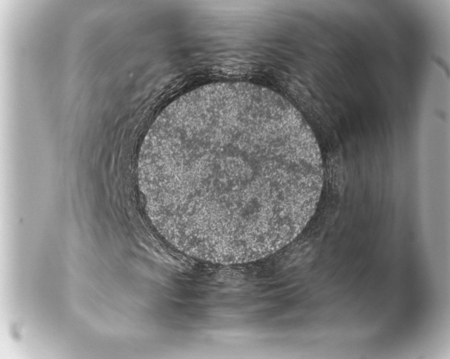 X0000100191009200806271613