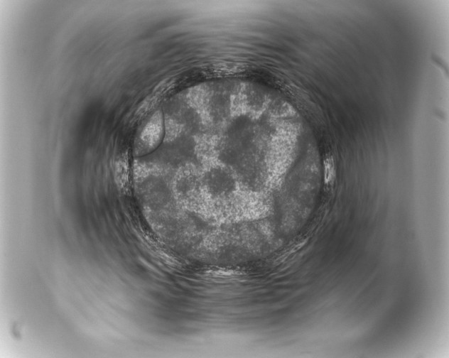 X0000100191011200806271613