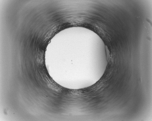 X0000100191012200806271613