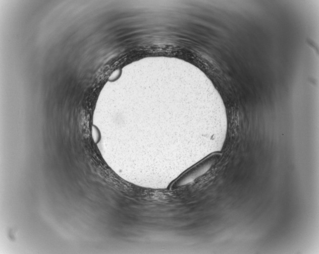 X0000100191013200806271613