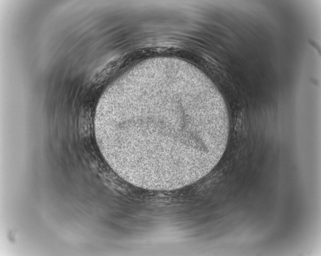 X0000100191014200806271613