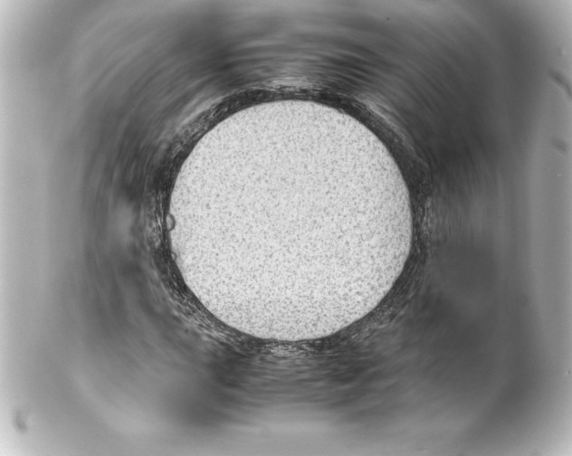 X0000100191015200806271613