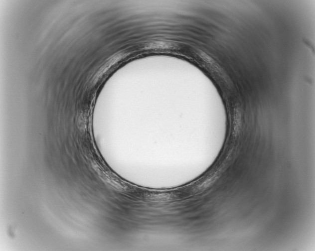 X0000100191017200806271613
