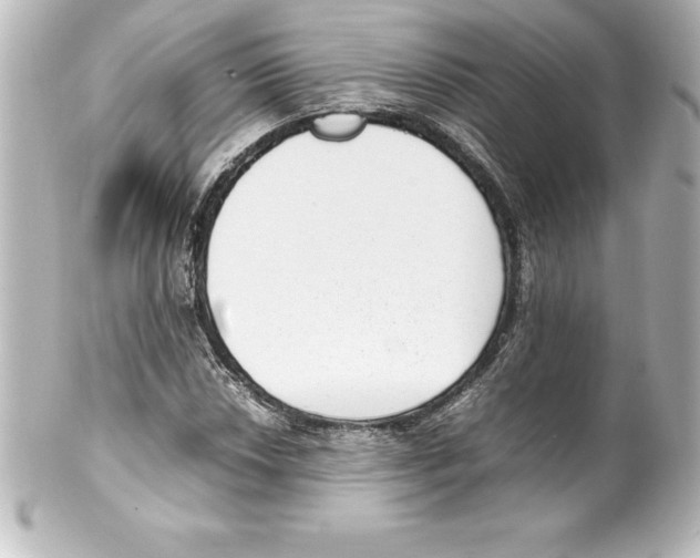 X0000100191018200806271613