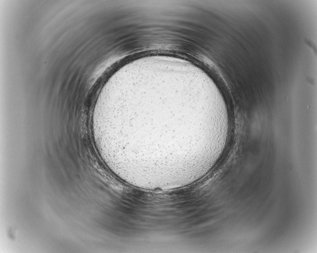 X0000100191019200806271613