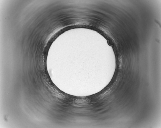 X0000100191021200806271613