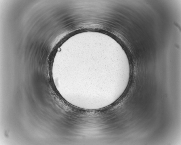 X0000100191022200806271613